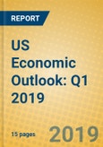 US Economic Outlook: Q1 2019- Product Image