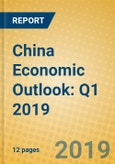 China Economic Outlook: Q1 2019- Product Image