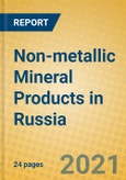 Non-metallic Mineral Products in Russia- Product Image
