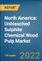 North America: Unbleached Sulphite Chemical Wood Pulp Market - Product Image
