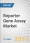 Reporter Gene Assay Market by Reagents & Assay Kits (Luciferase, Green Fluorescent Protein, â-glucuronidase, â-galactosidase), Application (Gene Regulation, Protein Interaction, Cell Signalling Pathways), End Users, Region - Global Forecast to 2024 - Product Thumbnail Image