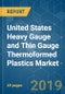 United States Heavy Gauge and Thin Gauge Thermoformed Plastics Market (2019 - 2024) - Product Thumbnail Image