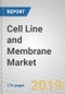 Cell Line and Membrane Market - Product Thumbnail Image