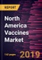 North America Vaccines Market to 2027 - Regional Analysis and Forecasts by Technology; Disease Indication, Influenza, Hepatitis, Respiratory Syncytial Virus, and Other Diseases); Route of Administration; Patient Type, and Country - Product Thumbnail Image