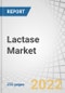 Lactase Market by Source (Yeast, Fungi, and Bacteria), Form (Liquid and Dry), Application (Food & Beverages and Pharmaceutical products & Dietary Supplements), Region (North America, Europe, Asia Pacific, South America and RoW) - Global Forecast to 2027 - Product Thumbnail Image