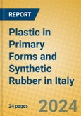 Plastic in Primary Forms and Synthetic Rubber in Italy- Product Image