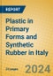 Plastic in Primary Forms and Synthetic Rubber in Italy - Product Image