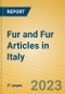 Fur and Fur Articles in Italy - Product Image