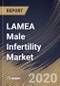 LAMEA Male Infertility Market By Treatment, By Test, By Country, Industry Analysis and Forecast, 2020 - 2026 - Product Thumbnail Image