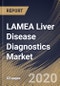 LAMEA Liver Disease Diagnostics Market By End User, By Diagnosis Technique, By Country, Industry Analysis and Forecast, 2020 - 2026 - Product Thumbnail Image