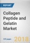 Collagen Peptide and Gelatin Market by Product Type, Source, Application - Global Opportunity Analysis and Industry Forecast, 2012-2025 - Product Thumbnail Image