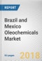 Brazil and Mexico Oleochemicals Market by Type and Application, Animal Feed, and Others) - Brazil and Mexico Opportunity Analysis and Industry Forecast, 2017-2025 - Product Thumbnail Image