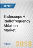 Endoscope + Radiofrequency Ablation Market by Application - Global Opportunity Analysis and Industry Forecast, 2017-2025- Product Image