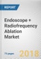 Endoscope + Radiofrequency Ablation Market by Application - Global Opportunity Analysis and Industry Forecast, 2017-2025 - Product Thumbnail Image
