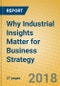 Why Industrial Insights Matter for Business Strategy - Product Thumbnail Image