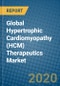 Global Hypertrophic Cardiomyopathy (HCM) Therapeutics Market 2020-2026 - Product Thumbnail Image