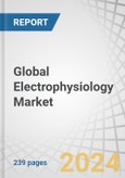 Global Electrophysiology Market by Product (Lab Devices (3D Mapping, Recording), Ablation Catheters (Cryoablation, RF), Diagnostic Catheters (Conventional, Advanced, Ultrasound)), Indication (AF, AVNRT, WPW), End User (Hospitals, ASCs) - Forecasts to 2027- Product Image