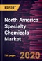 North America Specialty Chemicals Market Forecast to 2027 - COVID-19 Impact and Regional Analysis By Type; Function; and Country - Product Thumbnail Image