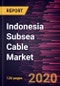 Indonesia Subsea Cable Market to 2027- COVID-19 Impact and Country Analysis by Service; Application - Product Thumbnail Image
