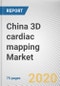 China 3D cardiac mapping Market by Application and End User: Opportunity Analysis and Industry Forecast, 2020-2027 - Product Thumbnail Image