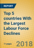 Top 5 countries With the Largest Labour Force Declines- Product Image
