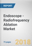 Endoscope - Radiofrequency Ablation Market by Application - Global Opportunity Analysis and Industry Forecast, 2017-2025- Product Image