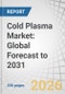 Cold Plasma Market: Global Forecast to 2031 - Product Thumbnail Image