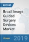 Brazil Image Guided Surgery Devices Market: Prospects, Trends Analysis, Market Size and Forecasts up to 2024 - Product Thumbnail Image