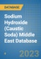 Sodium Hydroxide (Caustic Soda) Middle East Database - Product Image
