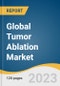 Global Tumor Ablation Market Size, Share & Trends Analysis Report by Technology (Microwave, HIFU), Treatment (Laparoscopic Ablation, Percutaneous Ablation), Application (Liver Cancer, Lung Cancer), and Segment Forecasts, 2024-2030 - Product Image