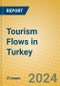 Tourism Flows in Turkey - Product Image