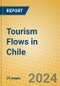 Tourism Flows in Chile - Product Thumbnail Image