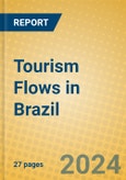 Tourism Flows in Brazil- Product Image