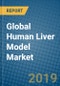 Global Human Liver Model Market Research and Forecast, 2019-2025 - Product Thumbnail Image