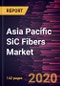 Asia Pacific SiC Fibers Market to 2027 - Regional Analysis and Forecasts By Form; Usages; End-Use Industry - Product Thumbnail Image