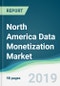 North America Data Monetization Market - Forecasts from 2019 to 2024 - Product Thumbnail Image