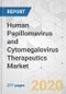 Human Papillomavirus and Cytomegalovirus Therapeutics Market - Global Industry Analysis, Size, Share, Growth, Trends, and Forecast, 2019 - 2027 - Product Thumbnail Image
