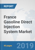 France Gasoline Direct Injection (GDI) System Market: Prospects, Trends Analysis, Market Size and Forecasts up to 2024- Product Image