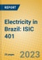 Electricity in Brazil: ISIC 401 - Product Thumbnail Image