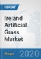 Ireland Artificial Grass Market: Prospects, Trends Analysis, Market Size and Forecasts up to 2025 - Product Thumbnail Image
