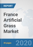 France Artificial Grass Market: Prospects, Trends Analysis, Market Size and Forecasts up to 2025- Product Image