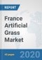 France Artificial Grass Market: Prospects, Trends Analysis, Market Size and Forecasts up to 2025 - Product Thumbnail Image