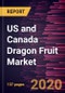 US and Canada Dragon Fruit Market Forecast to 2027 - COVID-19 Impact and Country Analysis by Type (Red Dragon Fruit, White Dragon Fruit and Yellow Dragon Fruit); Distribution Channel (Supermarkets/Hypermarkets, Convenience Stores, Online and Others) - Product Thumbnail Image