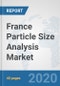 France Particle Size Analysis Market: Prospects, Trends Analysis, Market Size and Forecasts up to 2025 - Product Thumbnail Image