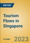 Tourism Flows in Singapore - Product Image