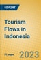 Tourism Flows in Indonesia - Product Image