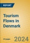 Tourism Flows in Denmark - Product Image