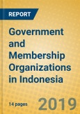 Government and Membership Organizations in Indonesia- Product Image