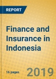 Finance and Insurance in Indonesia- Product Image