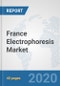 France Electrophoresis Market: Prospects, Trends Analysis, Market Size and Forecasts up to 2025 - Product Thumbnail Image